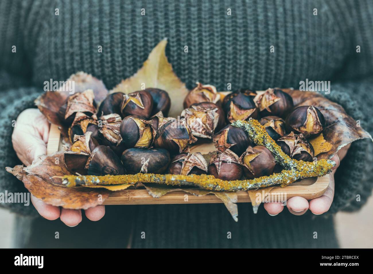 Primo piano delle mani di una donna che tiene un piatto con la frutta delle castagne. Decorazione di sfondo di colore autunno-inverno. Concetto di superfood stile di vita sano. Castagne arrostite. Colore marrone/giallo Foto Stock