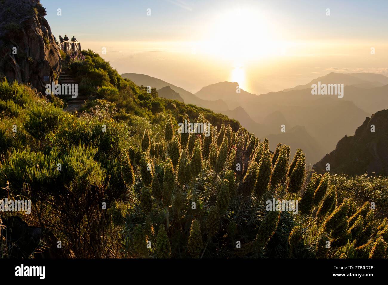 Escursionisti all'alba a Pico Arieiro, Miradouro do Ninho da Manta, Madeira, Portogallo, Europa Foto Stock