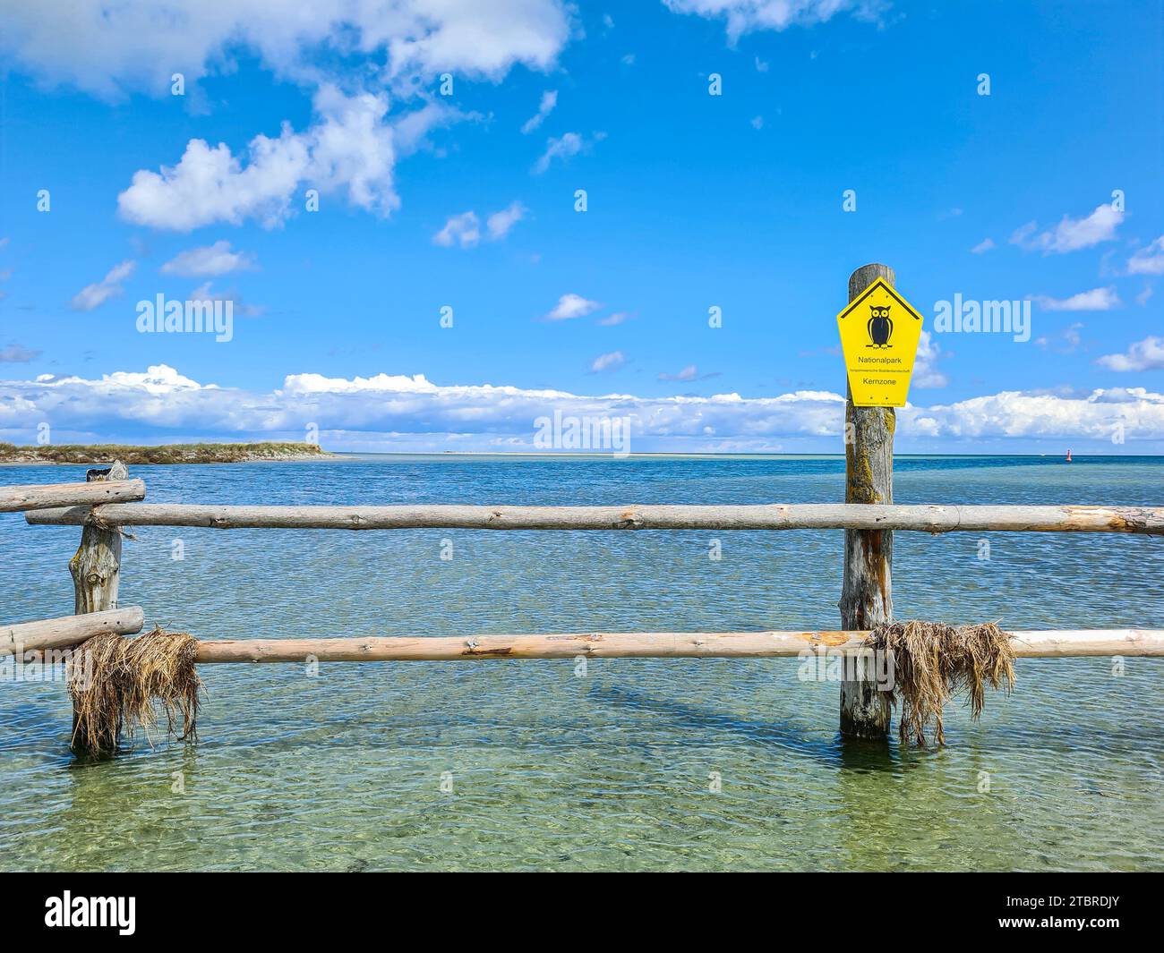 Germania, Meclemburgo-Pomerania Occidentale, penisola Fischland-Darß-Zingst, vista delle limpide acque marine nella riserva naturale della zona centrale National P. Foto Stock