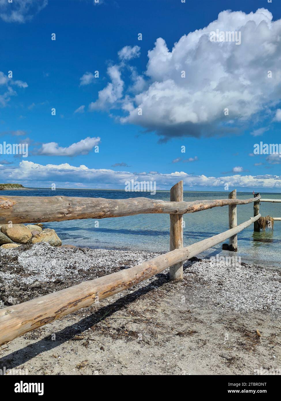 Germania, Meclemburgo-Pomerania Occidentale, penisola Fischland-Darß-Zingst, vista attraverso lo sbarramento delle limpide acque marine nella riserva naturale del Foto Stock