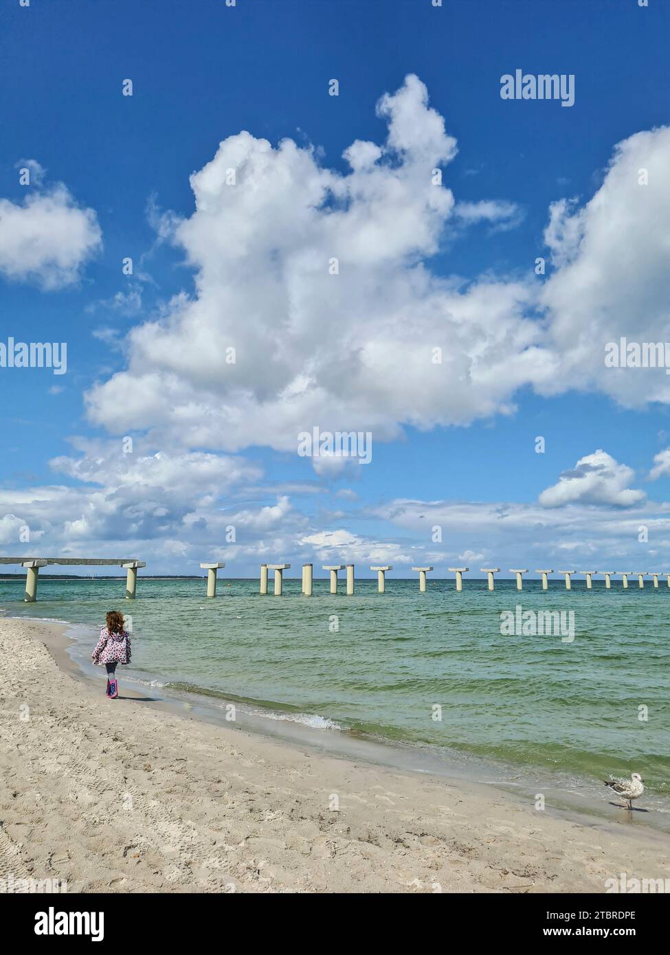 Germania, Meclemburgo-Pomerania occidentale, penisola Fischland-Darß-Zingst, Prerow, mare, pilastri in cemento del nuovo molo Foto Stock