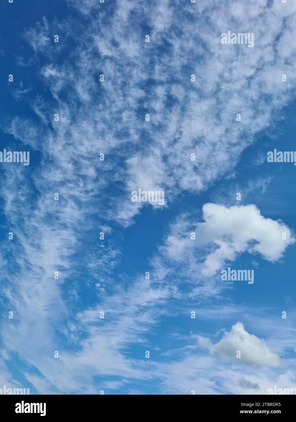 Germania, Meclemburgo-Pomerania Occidentale, penisola Fischland-Darß-Zingst, solo nuvole di bel tempo nel cielo blu di Prerow Foto Stock