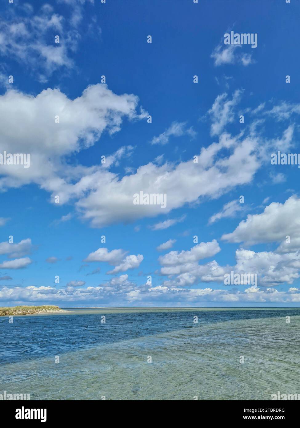 Ammira la distesa infinita con nuvole bianche sul cielo blu in una giornata estiva nel Parco Nazionale Vorpommersche Boddenlandschaft, Prerow sul Mar Baltico, penisola Fischland-Darß-Zingst, Meclemburgo-Pomerania occidentale, Germania Foto Stock
