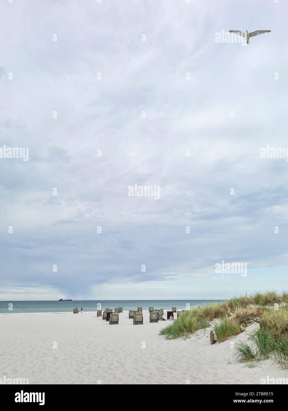 Germania, Meclemburgo-Pomerania occidentale, penisola Fischland-Darß-Zingst, spiaggia di sabbia fine con dune di erba all'incrocio di Prerow Foto Stock