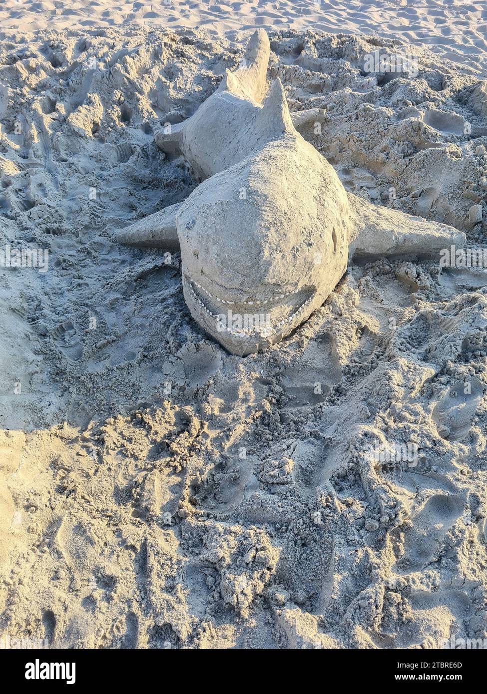 Balena di sabbia, scultura fatta di sabbia sulla spiaggia di sabbia leggera di Prerow, Mar Baltico, penisola di Fischland-Darß-Zingst, Meclemburgo-Pomerania occidentale, Germania Foto Stock