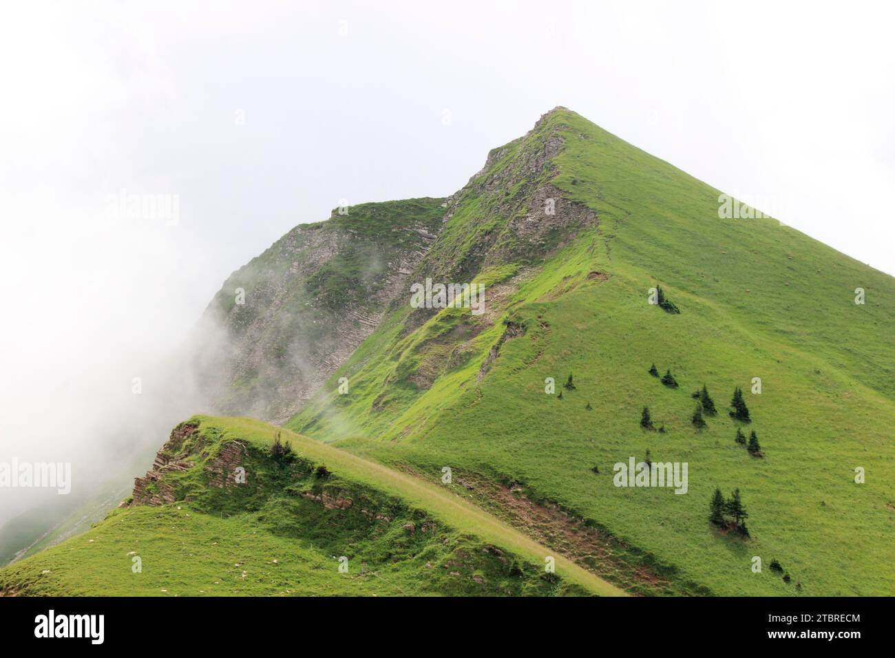 Vista dal Tölzer Hütte (1835 m) sotto la cima dello Schafreuter (2102 m) nel Karwendel fino al Delpsjoch che forma con il suo fianco una barriera Foto Stock
