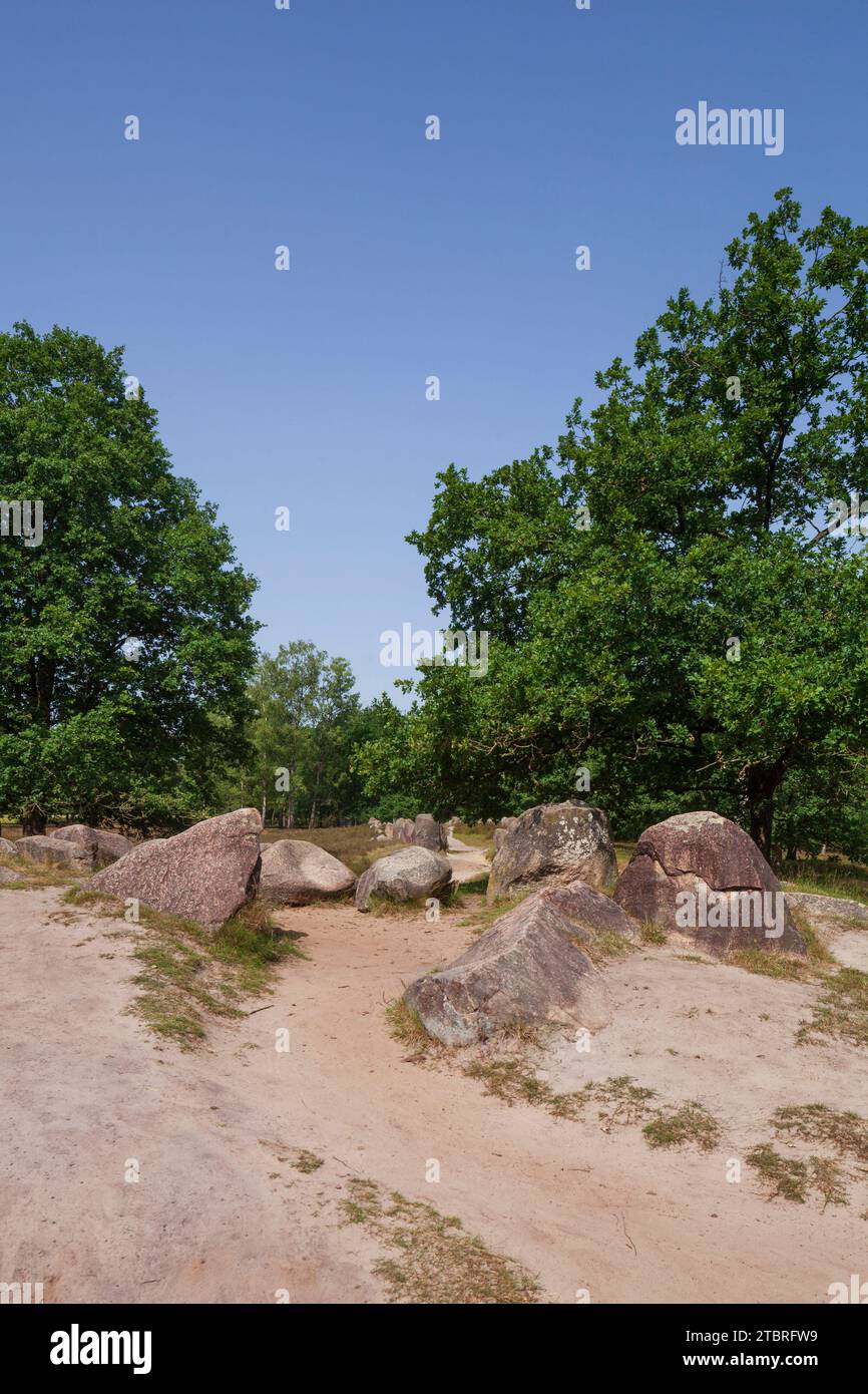 Tomba megalitica di Glaner Braut vicino a Dötlingen, Wildeshauser Geest, bassa Sassonia, Germania, Europa Foto Stock