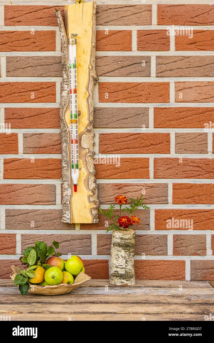 Vecchio termometro a mercurio in una cornice di legno su una parete di casa, vaso decorativo con fiori, mele Foto Stock