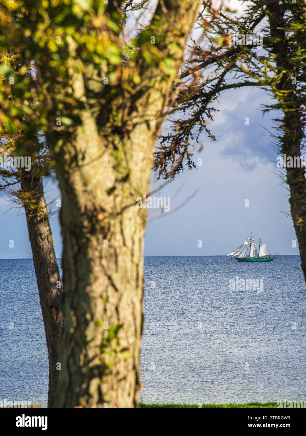 Nave a vela sulla costa del Mar Baltico a Schönhagen, Schleswig-Holstein, Germania Foto Stock