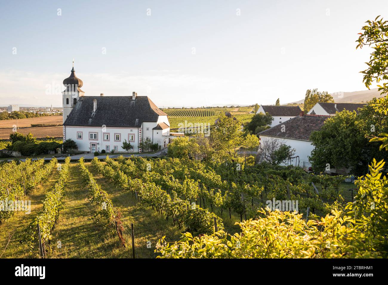 Freigut Thallern, nota anche come Stiftsweingut Heiligenkreuz, cantina dell'abbazia di Heiligenkreuz, Thallern, Gumpoldskirchen, bassa Austria, Austria, Europa Foto Stock