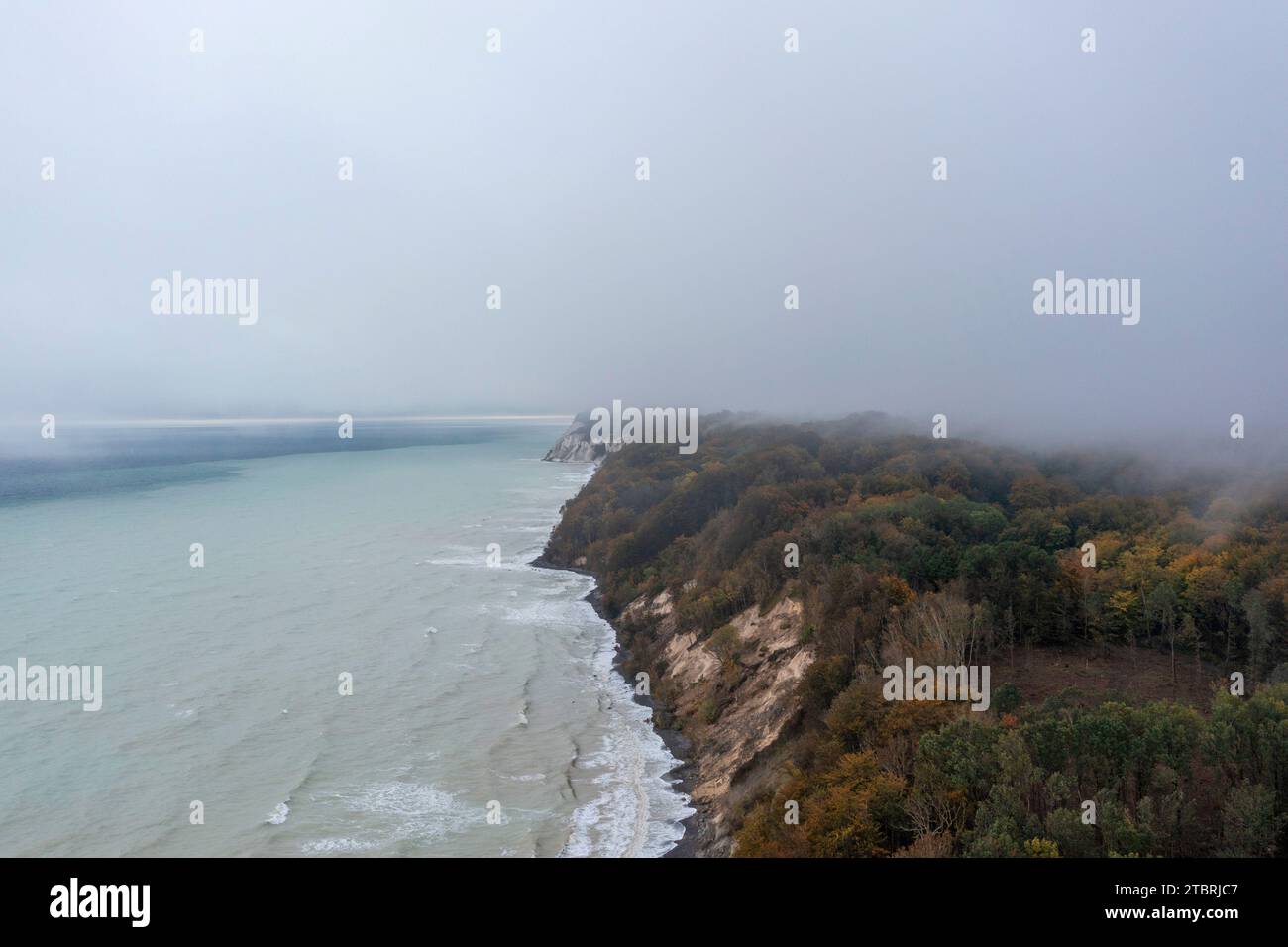 Faggio e altri alberi decidui sulle scogliere di Möns Klint, isola di Mön, Danimarca Foto Stock