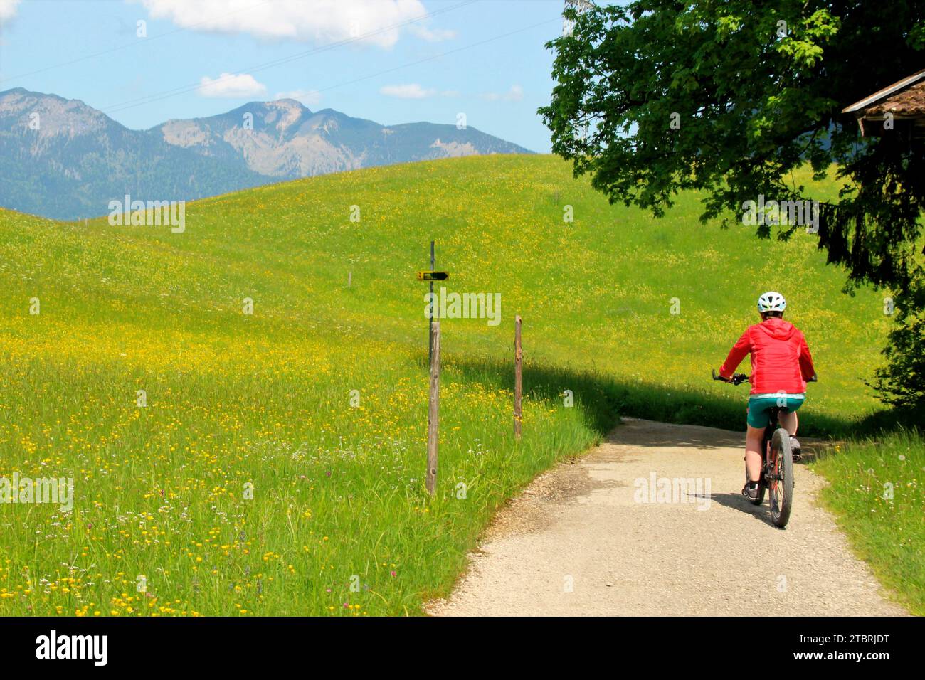 Bicicletta donna di mezza età, mountain bike, e-bike vicino al villaggio della chiesa di Wamberg, distretto di Garmisch-Partenkirchen, Werdenfelser Land, alta Baviera Foto Stock