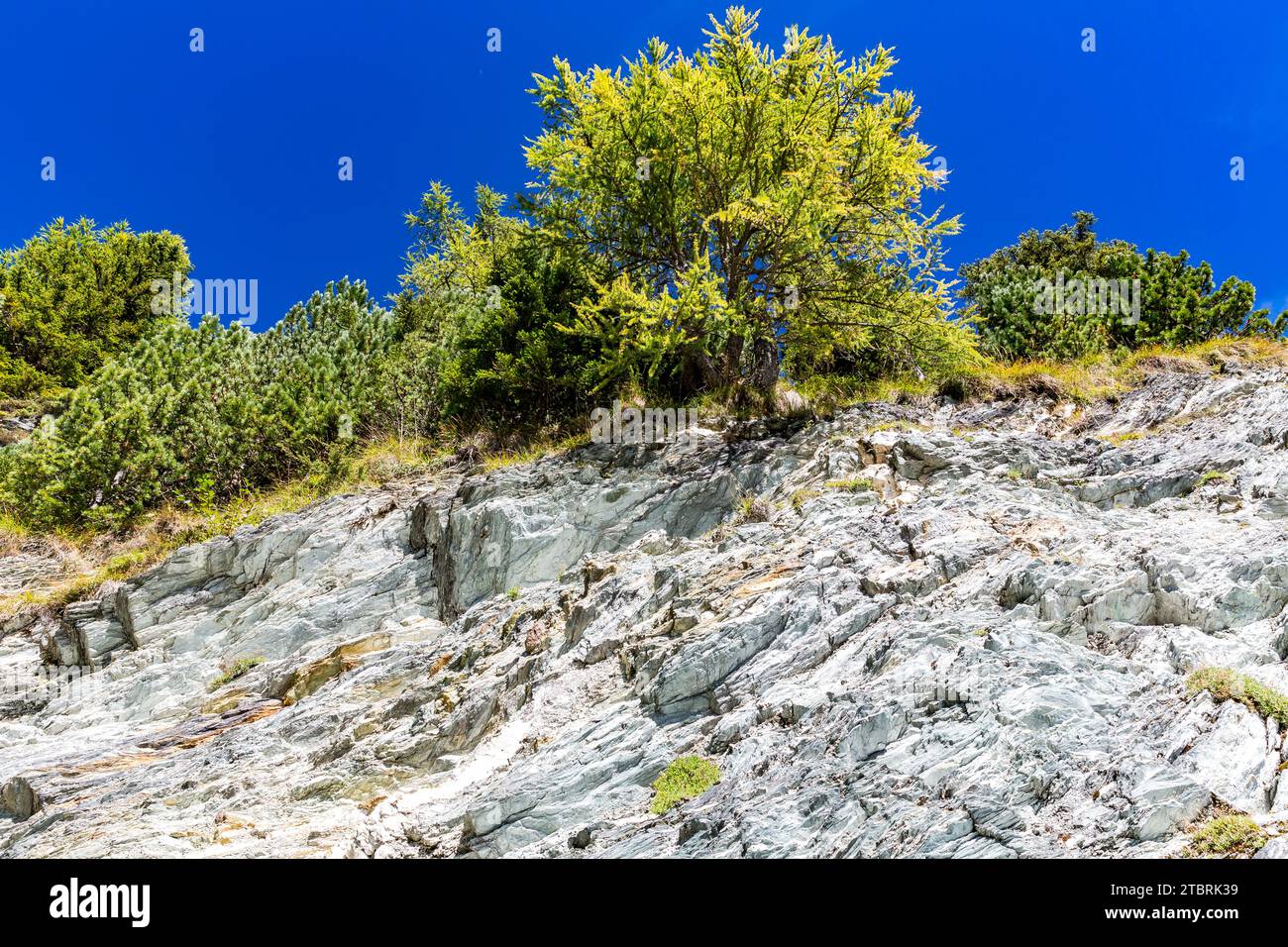 Roccia scista di mica verdastra con strati di marmo, sentiero alpino fino allo Schwarzwand, 2194 m, Hochalm, Rauris, Raurisertal, Pinzgau, Salzburger Land, Austria Foto Stock