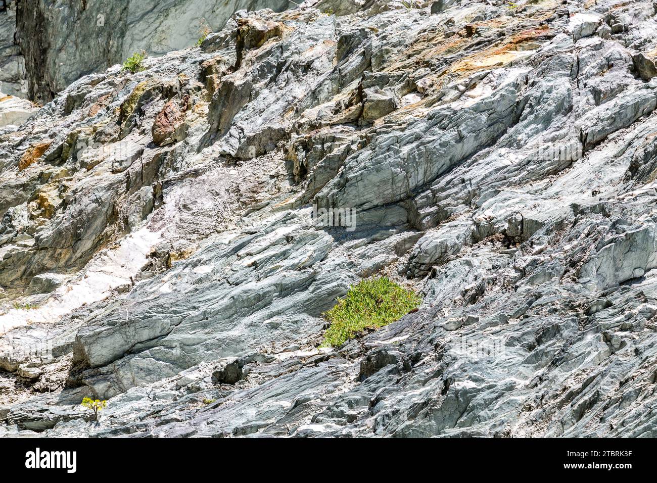 Roccia scista di mica verdastra con strati di marmo, sentiero alpino fino allo Schwarzwand, 2194 m, Hochalm, Rauris, Raurisertal, Pinzgau, Salzburger Land, Austria Foto Stock