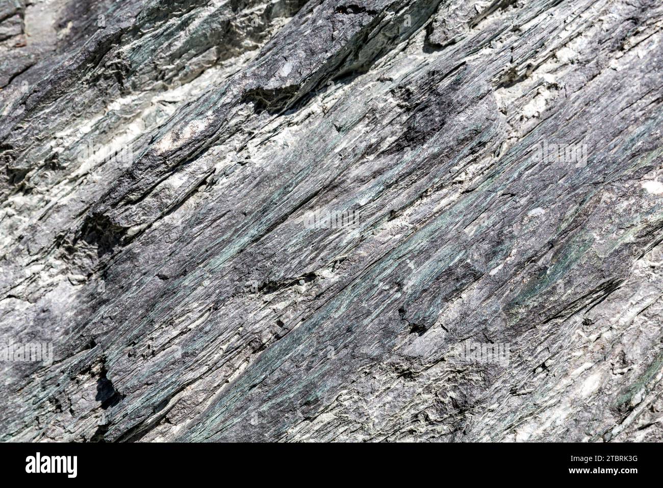 Roccia scista di mica verdastra con strati di marmo, sentiero alpino fino allo Schwarzwand, 2194 m, Hochalm, Rauris, Raurisertal, Pinzgau, Salzburger Land, Austria Foto Stock