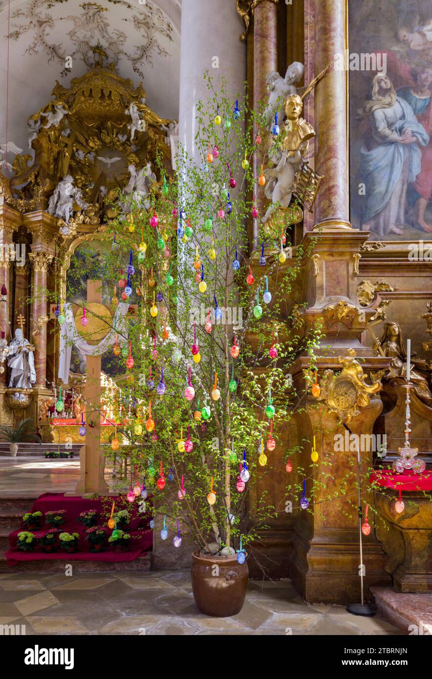 Albero di Pasqua colorato nel Marienmünster, Dießen, alta Baviera, Baviera, Germania, Europa Foto Stock