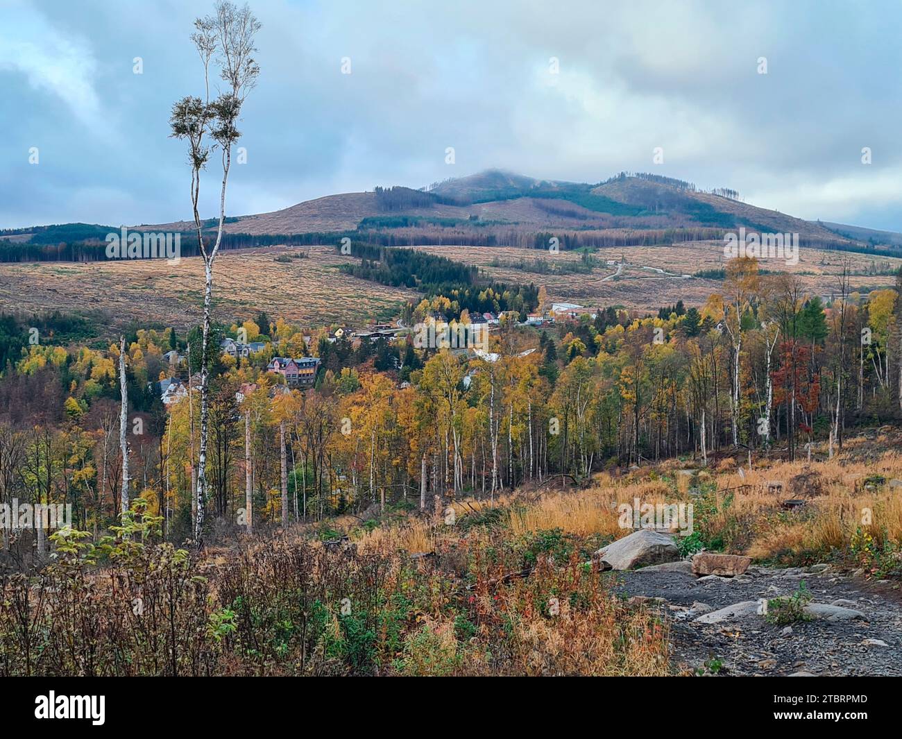 Veduta di Schierke e Wurmberg, foresta autunnale e morta, Monti Harz, Sassonia-Anhalt, Germania Foto Stock