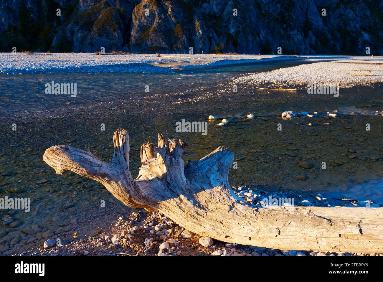 Paesaggio fluviale selvaggio della valle dell'Isar Foto Stock