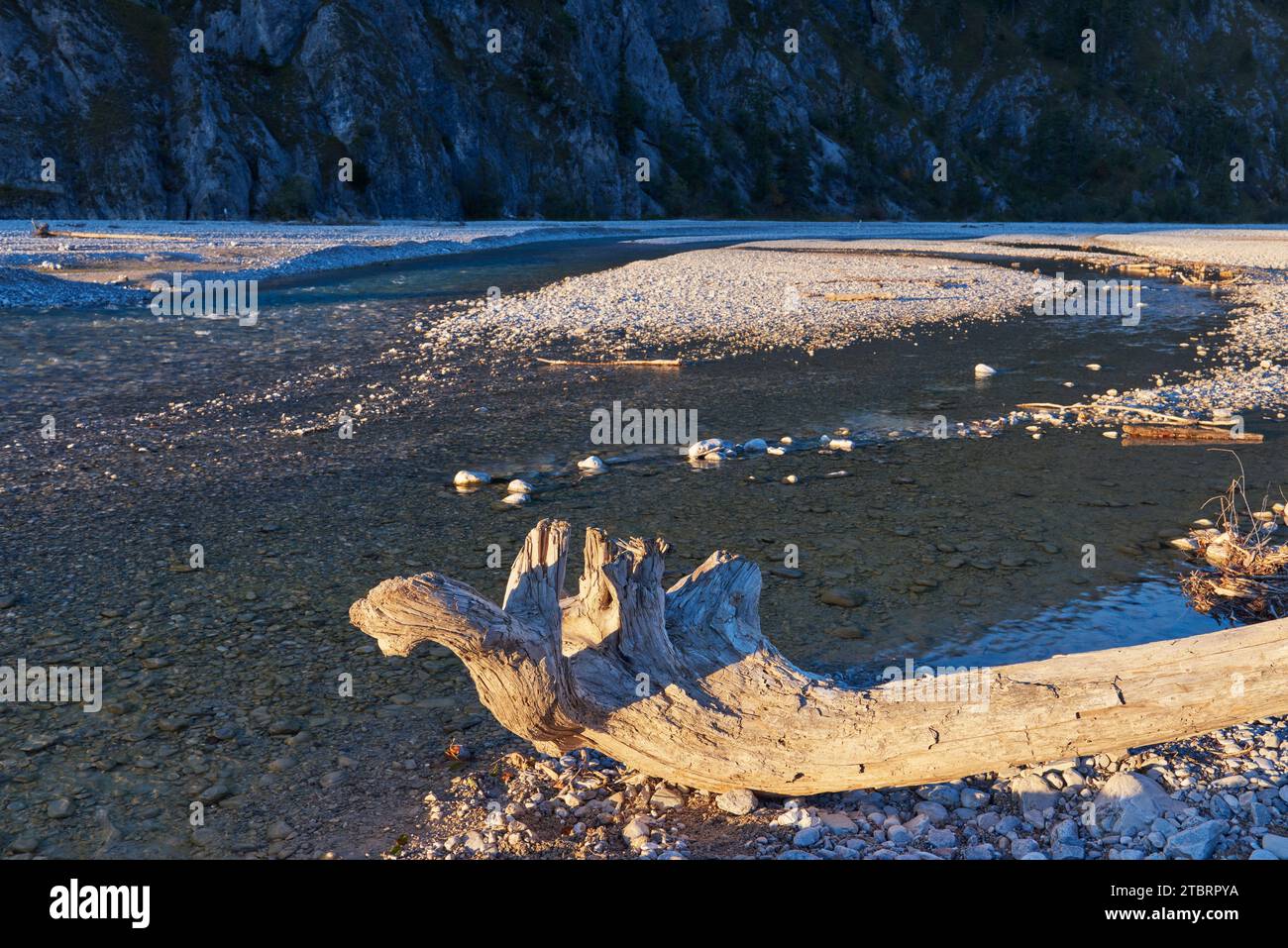 Paesaggio fluviale selvaggio della valle dell'Isar Foto Stock