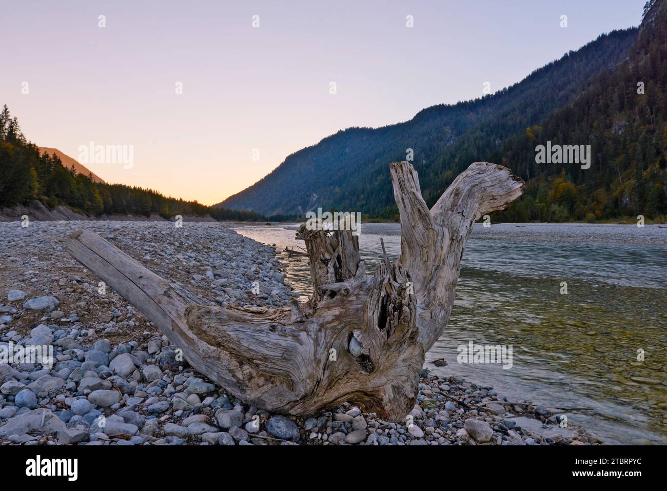 Paesaggio fluviale selvaggio della valle dell'Isar Foto Stock