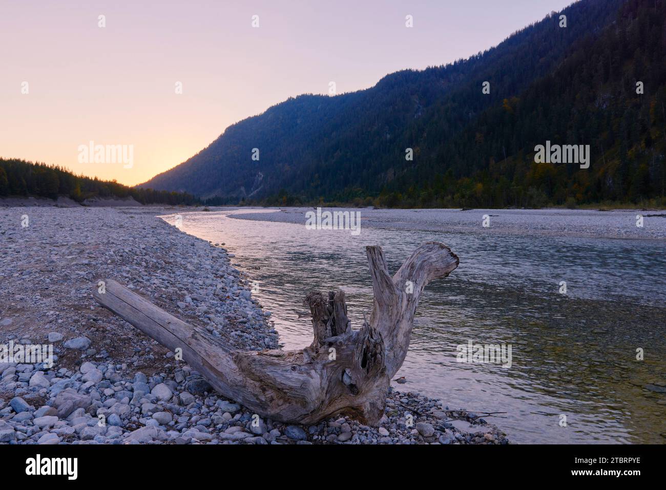 Paesaggio fluviale selvaggio della valle dell'Isar Foto Stock