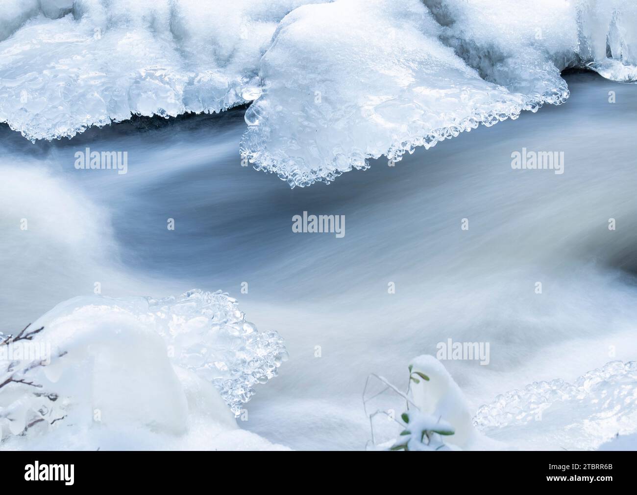 Primo piano del ruscello del vento nella natura in una giornata fredda e gelida Foto Stock