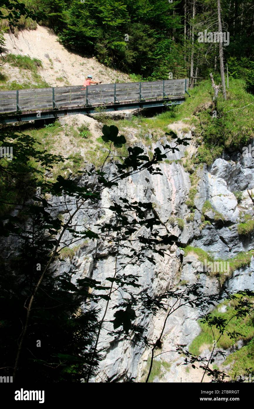 Ciclista e-bike, ciclista sulla strada dal Bockhütte nel Reintal spinge la sua bici sul ponte, fuori, alta Baviera, Werdenfels, vacanza, turismo, Foto Stock
