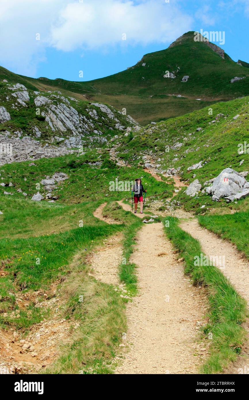 Donna in un'escursione estiva dal Rofanspitze all'Erfurter Hütte, regione dell'Achensee, Rofan, montagne del Rofan, Tirolo, Austria, Europa Foto Stock