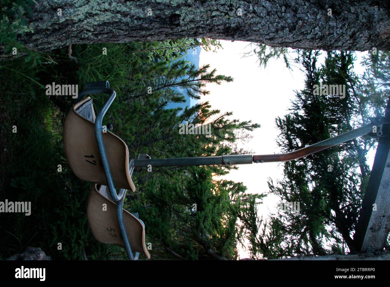 Escursione al Pleisenhütte 1757, posti a sedere di un ascensore montato su un albero, luogo preferito, Karwendl, metà estate, Scharnitz, Tirolo, Austria Foto Stock