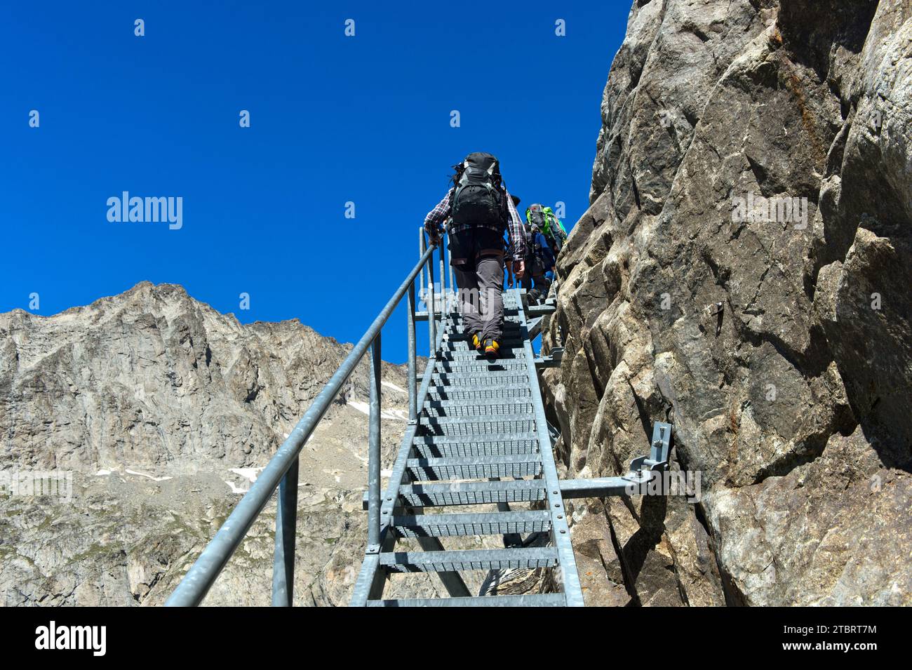 Gli escursionisti salgono i gradini di metallo su una parete rocciosa fino al rifugio Konkordiahütte, regione dell'Aletsch, Oberland Bernese, Svizzera Foto Stock