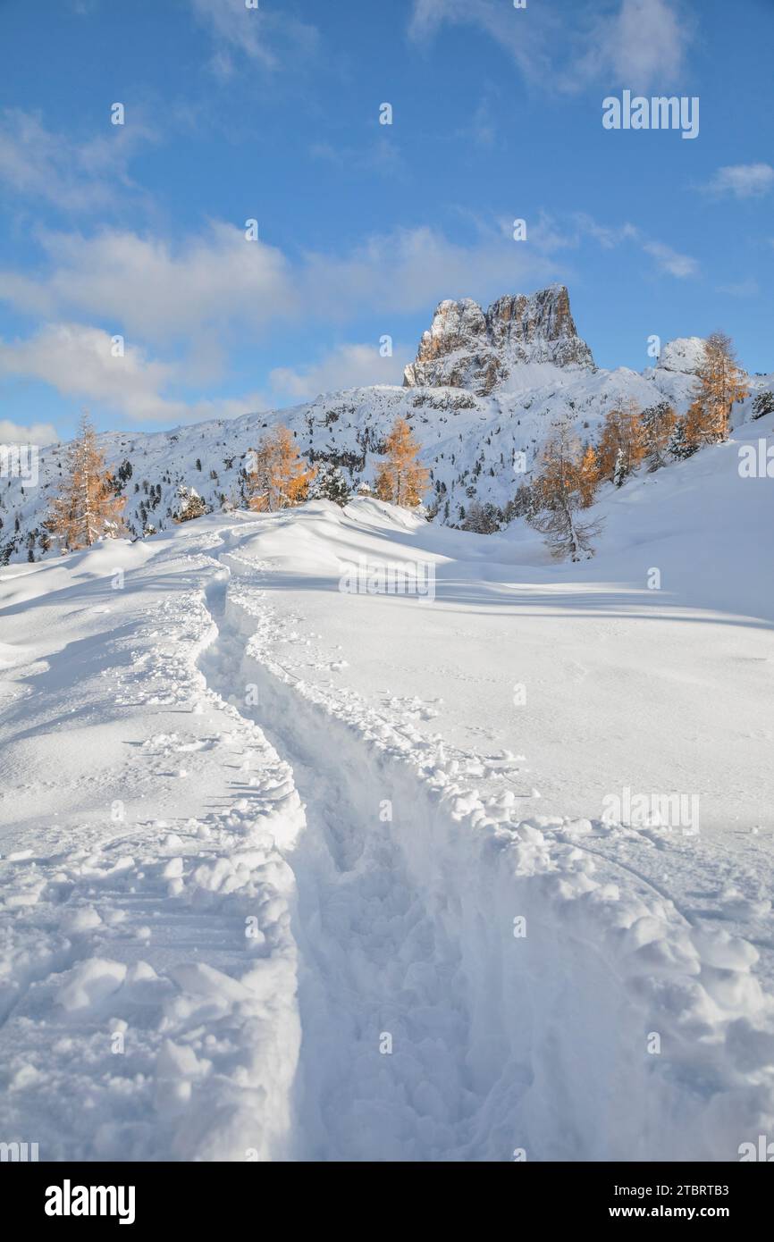 Italia, Veneto, provincia di Belluno, pista nella neve fresca verso il monte Averau sullo sfondo, passo Falzarego, Dolomiti Foto Stock