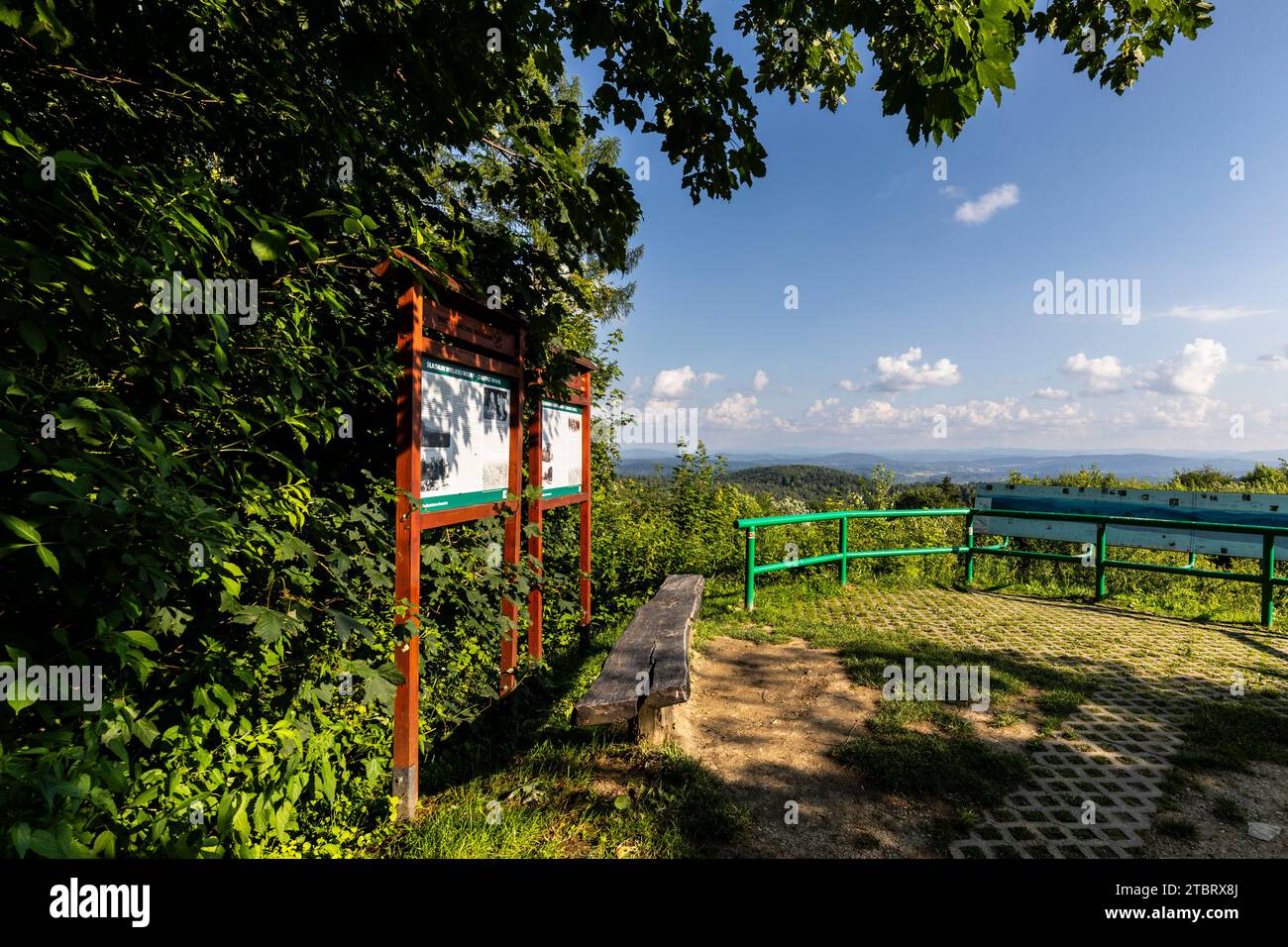 Europa, Polonia, voivodato di Podkarpackie, strada serpentina nei Monti Slonne Foto Stock