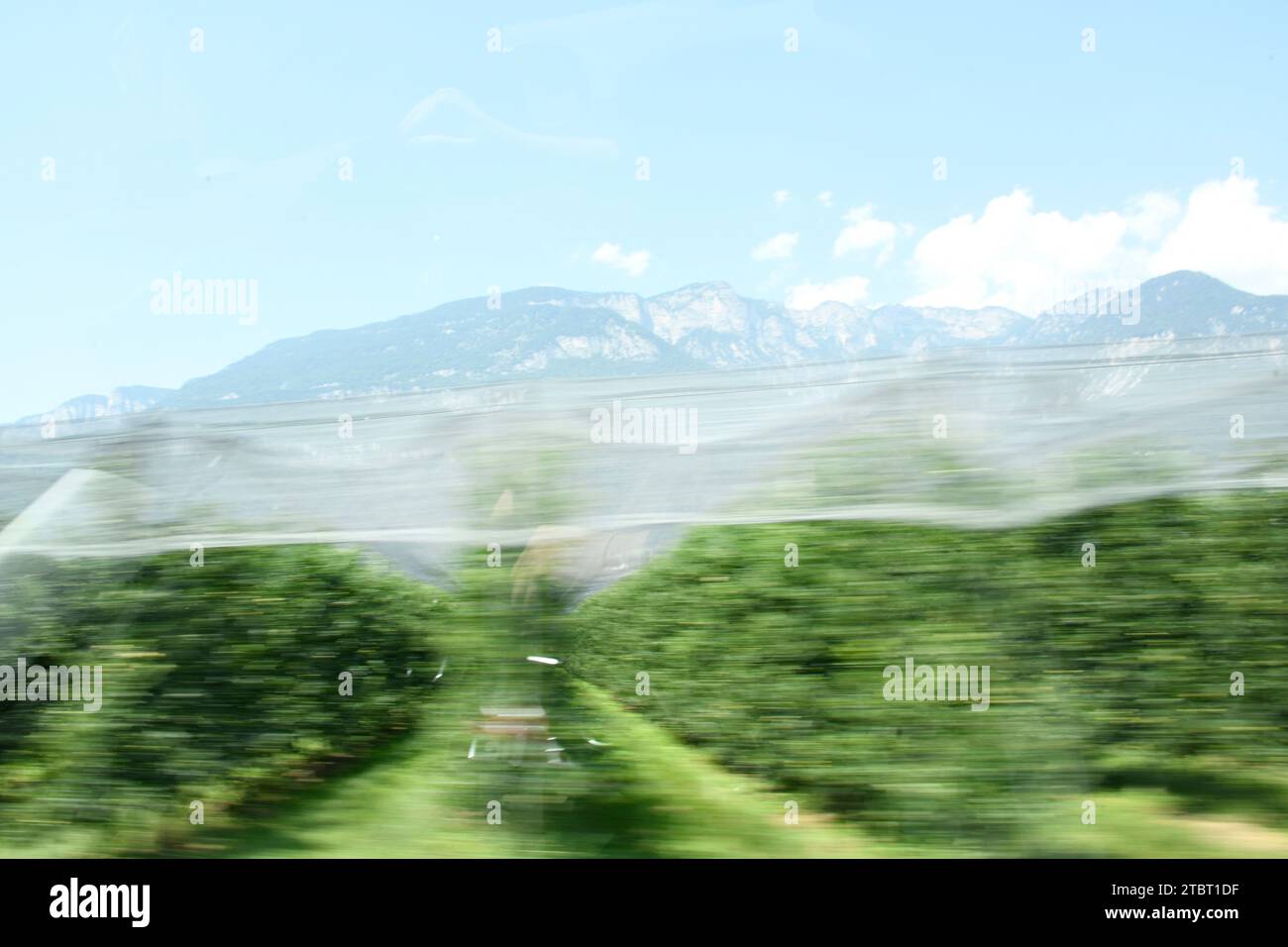 Giro in auto, paesaggio montano in Baviera, sfocatura del movimento Foto Stock