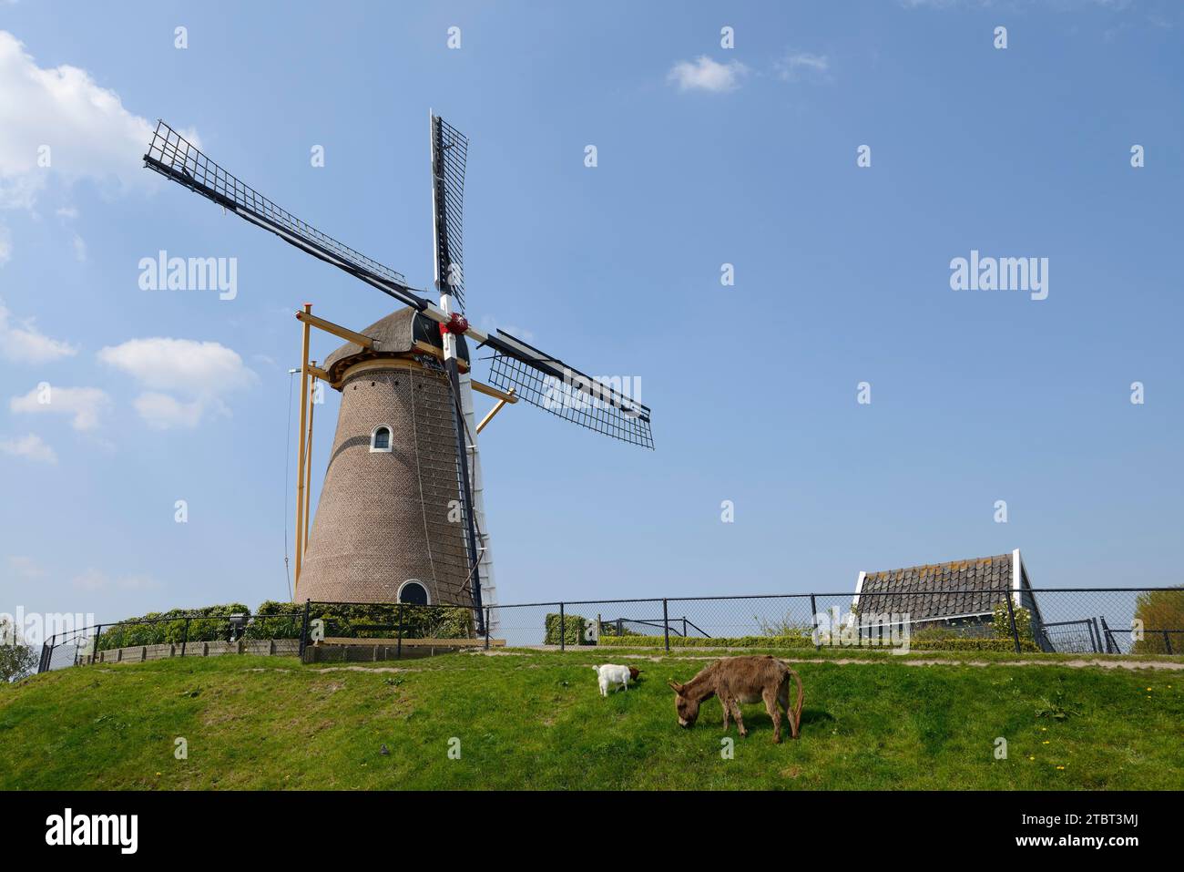 Windmill De Eersteling, Hoofddorp, Haarlemmermeer, Olanda settentrionale, Paesi Bassi Foto Stock