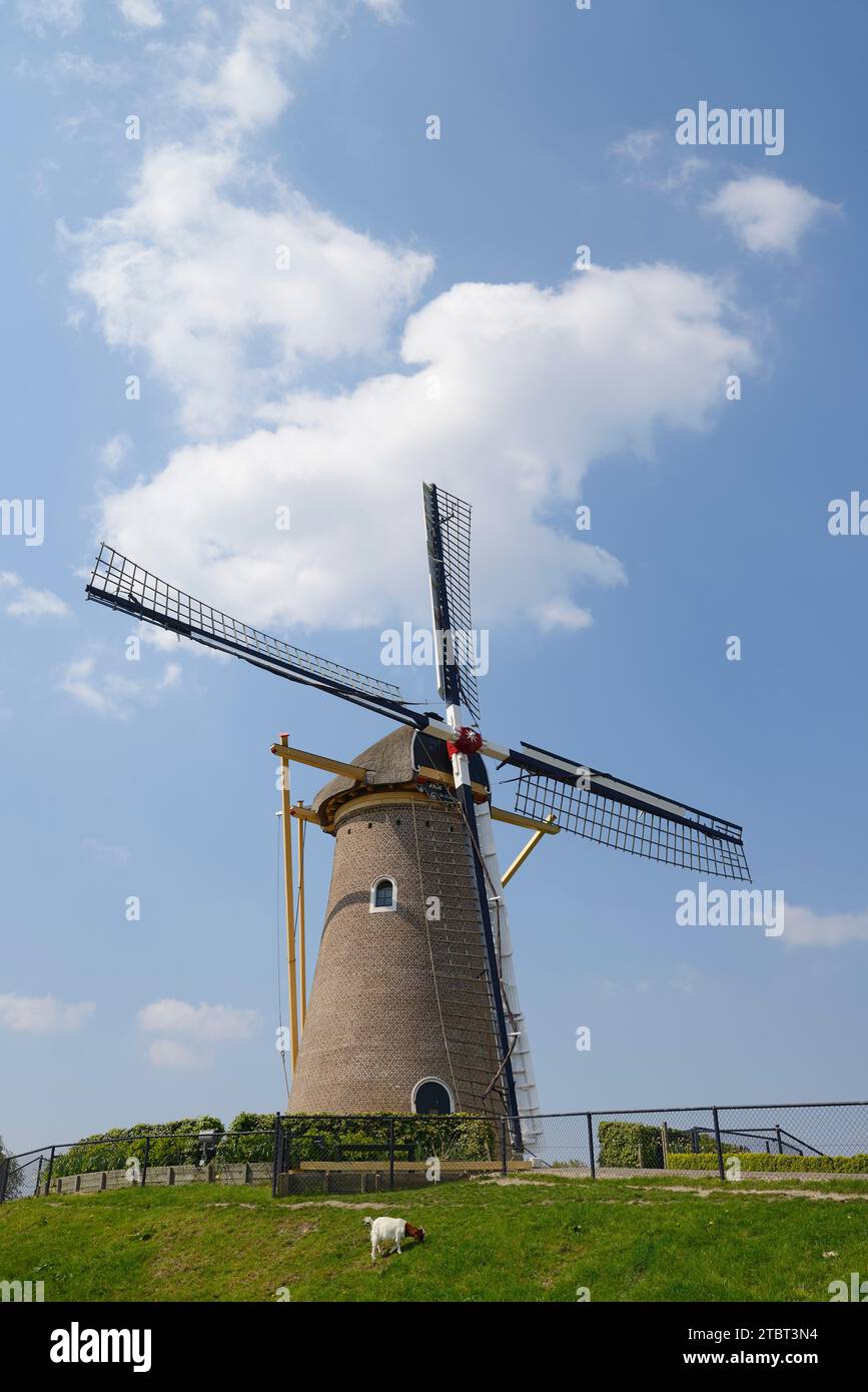 Windmill De Eersteling, Hoofddorp, Haarlemmermeer, Olanda settentrionale, Paesi Bassi Foto Stock