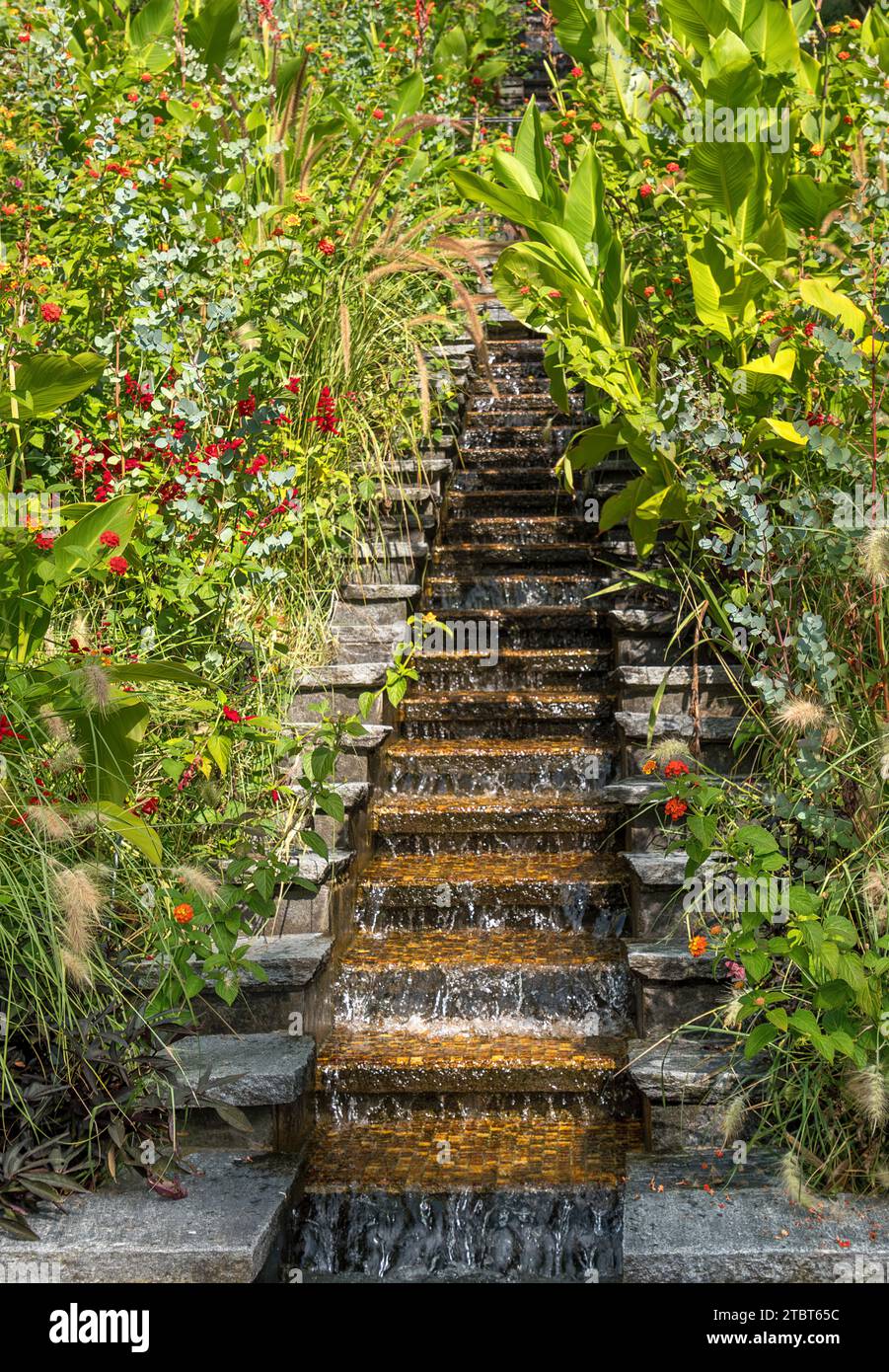 Scale d'acqua nel parco sull'isola di Mainau, Lago di Costanza, Baden-Württemberg, Germania, Europa Foto Stock