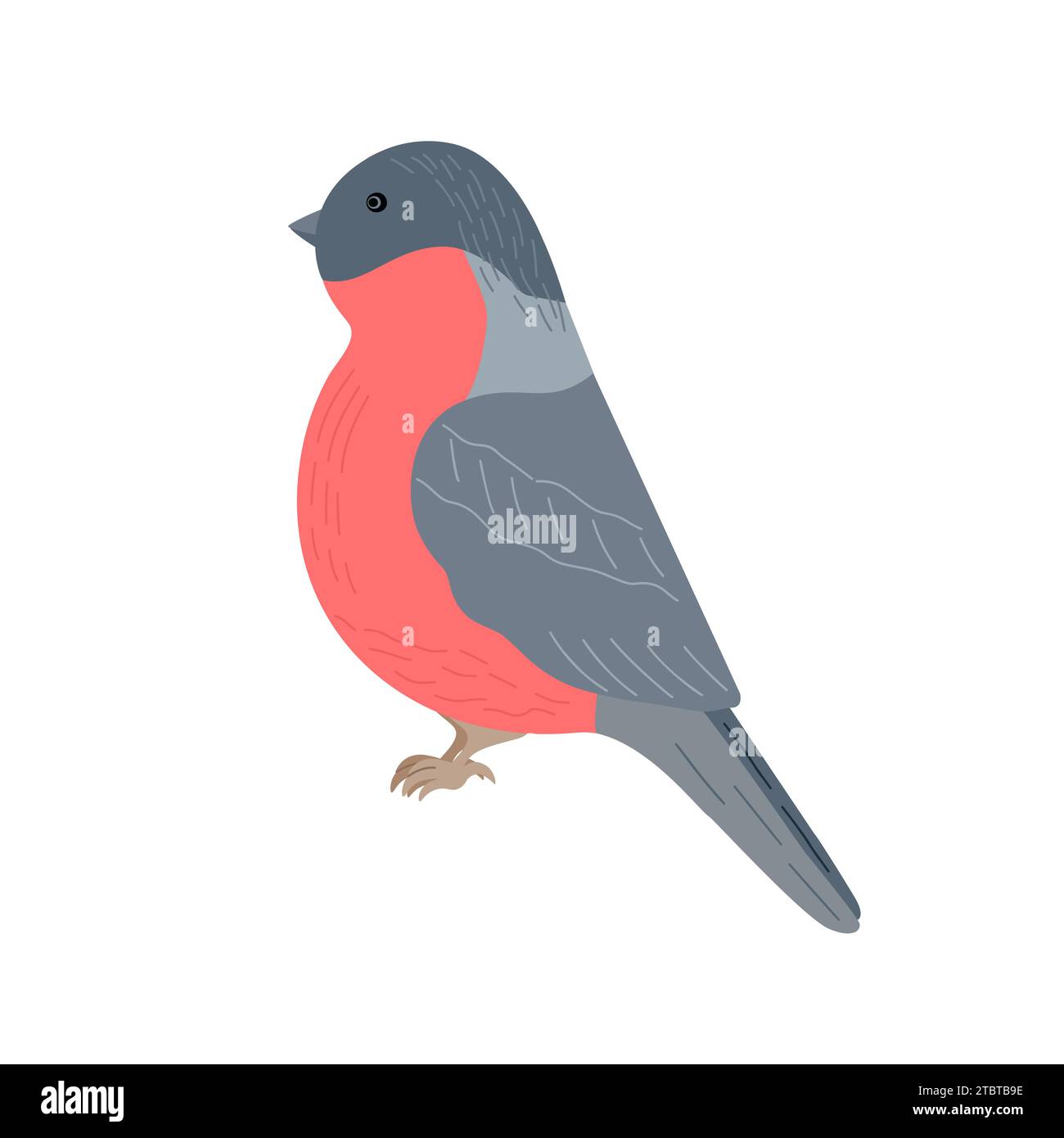 Uccello Bullfinch simpatico cartone animato illustrazione vettoriale per elemento decorativo invernale natalizio, disegno festivo per festività di Capodanno, immagine disegnata a mano per biglietti di auguri, poster, invito Illustrazione Vettoriale