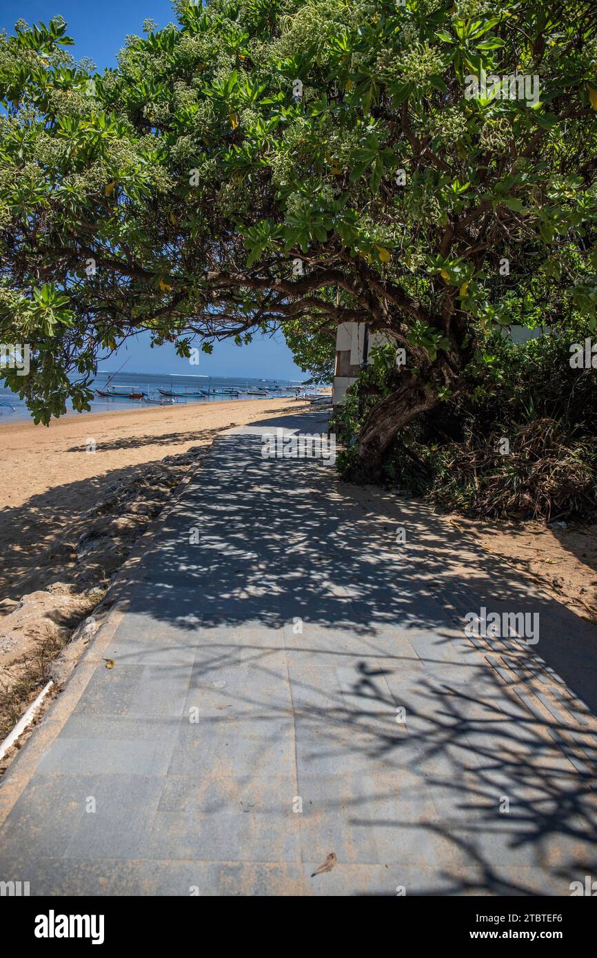 Alba sulla spiaggia di sabbia, paesaggio girato con vista del mare e della spiaggia, onde luminose e splendida atmosfera mattutina, Sanur, Bali, Indonesia Foto Stock