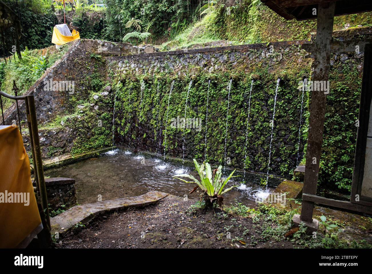 Un piccolo tempio usato per le sacre abluzioni, incantato e coperto di muschio, con offerte, bellissime statue e molto altro, sorgenti sacre e acqua Santa a Bali, Indonesia Foto Stock