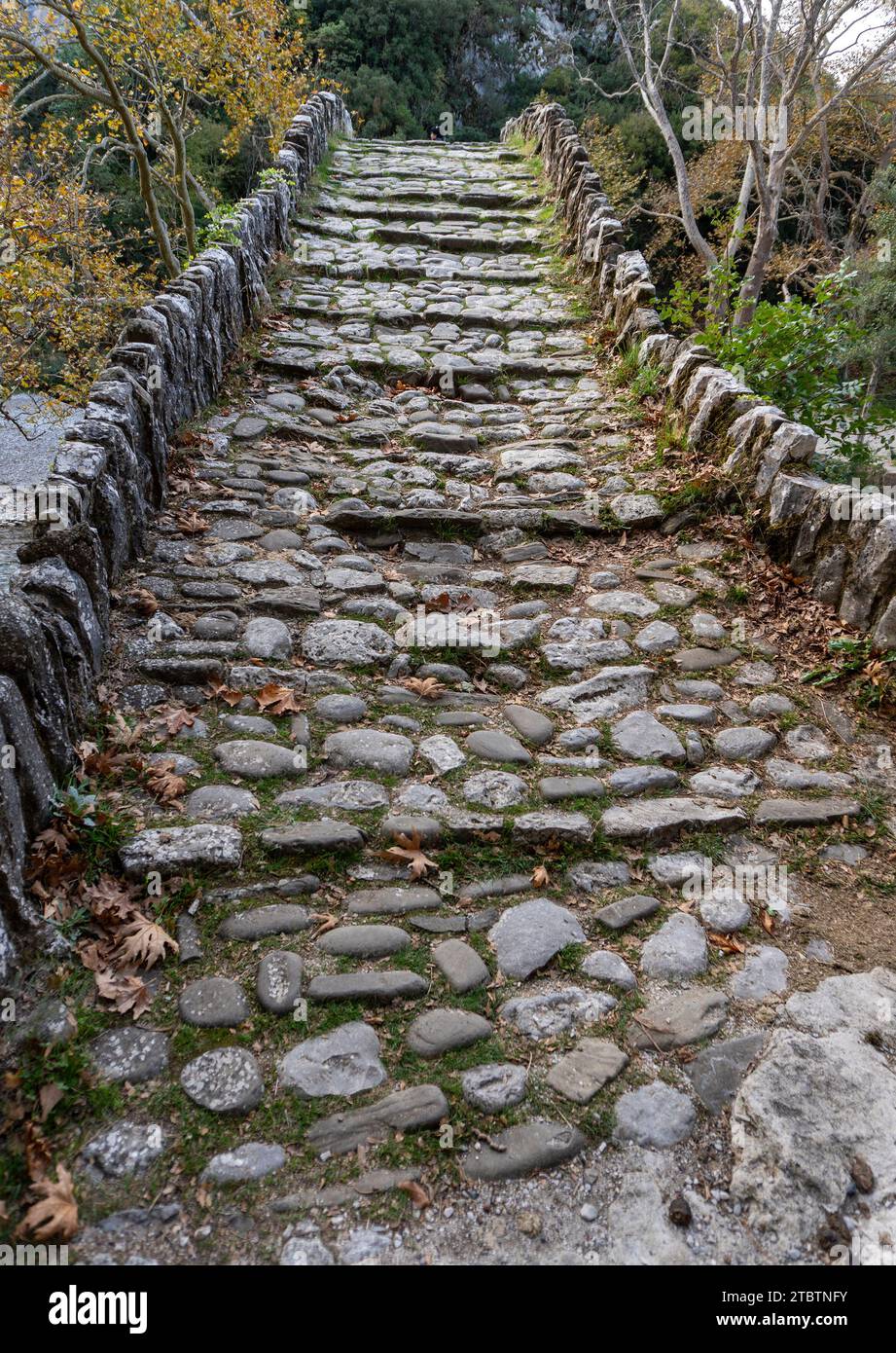 Una vecchia strada in pietra nella regione di Zagori in Grecia Foto Stock