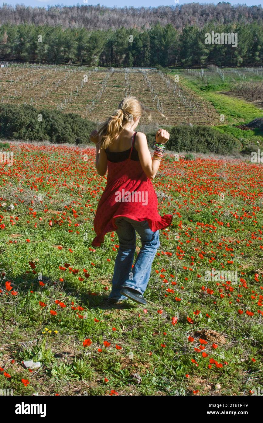 Ragazza in un campo di fiori Anemone coronaria, l'anemone papavero, la calendula spagnola o il fiore del vento, Foto Stock