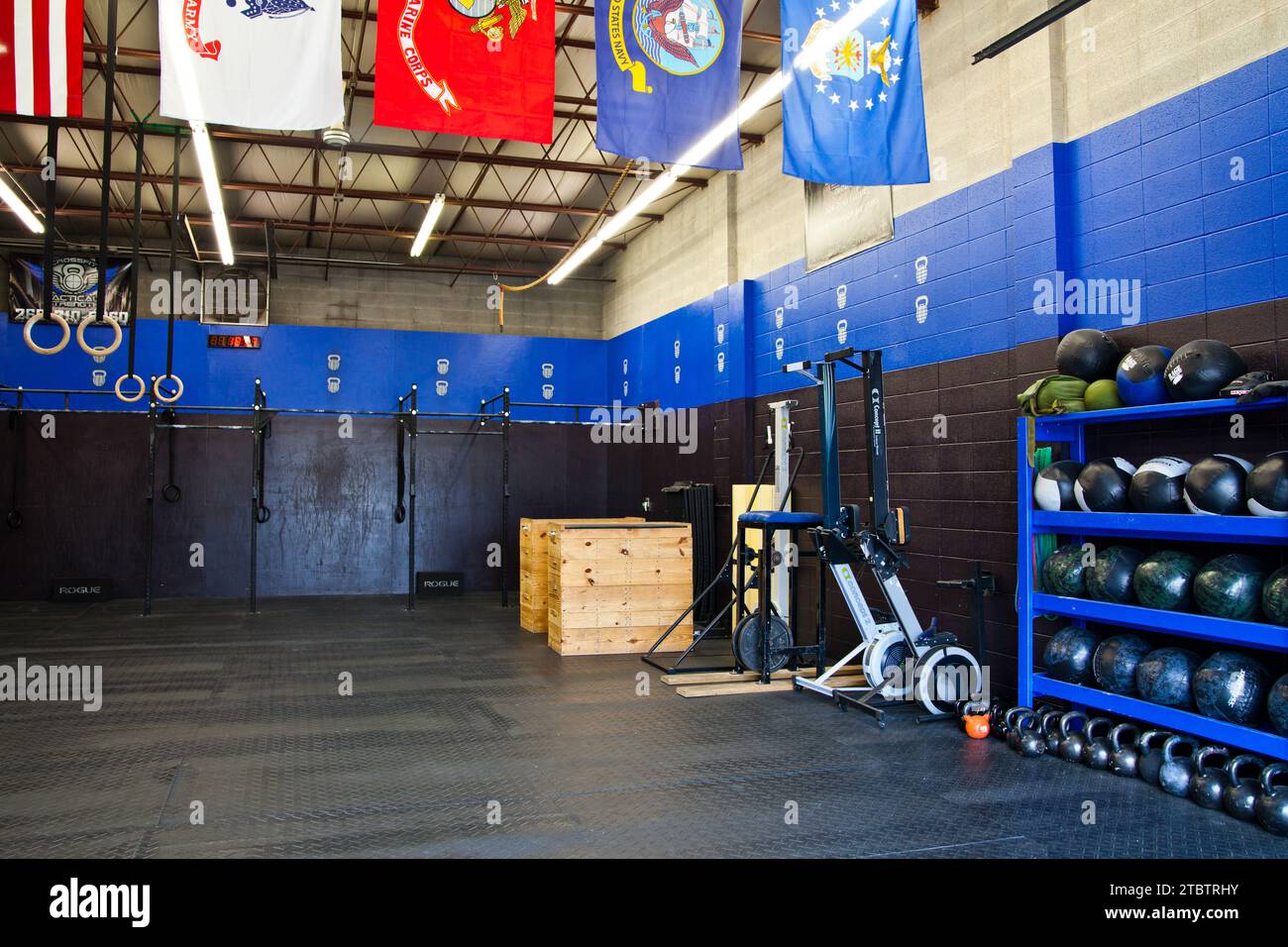 Moderno interno della palestra Crossfit con colori vivaci e diverse attrezzature per il fitness Foto Stock