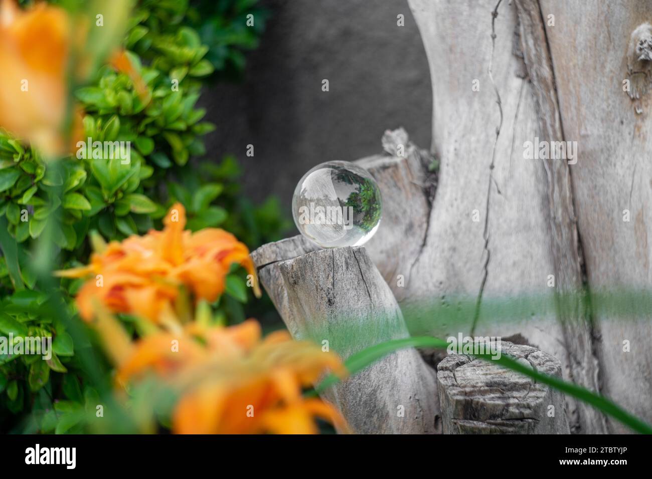 foto artistica con una lensball Foto Stock