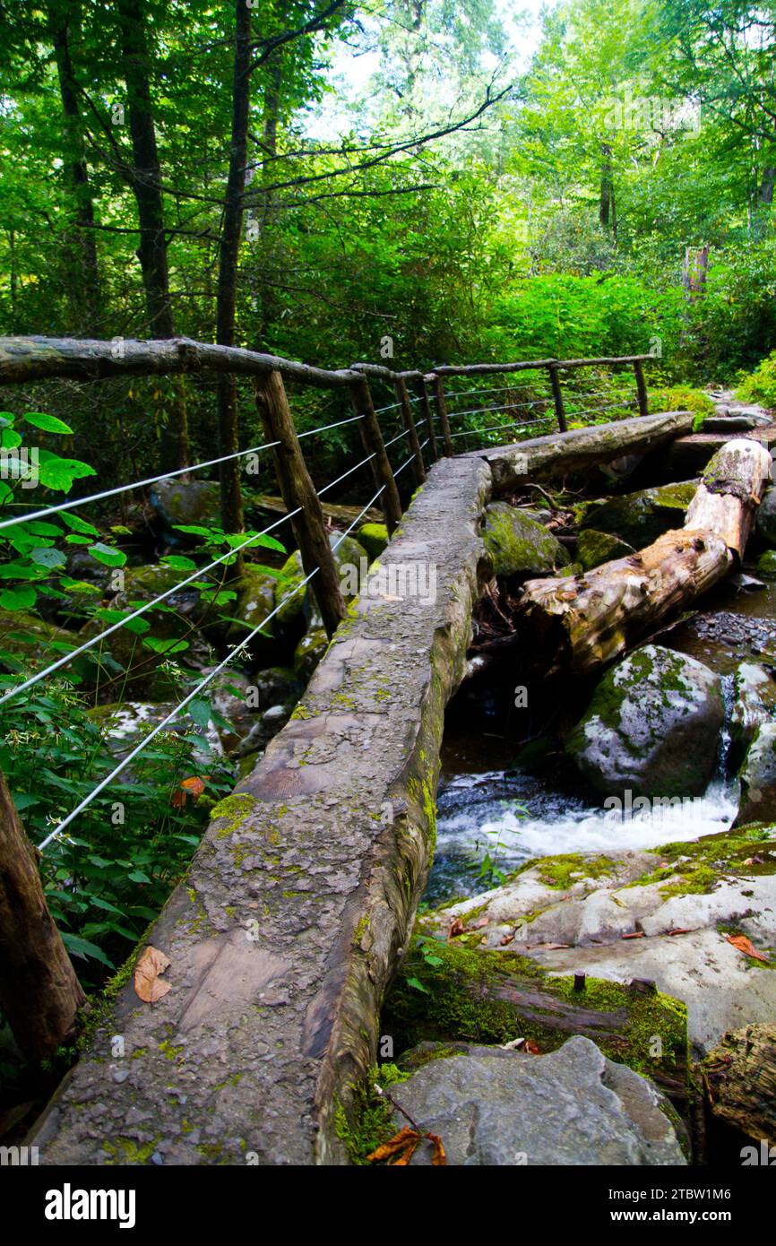 Attraversamento dello stretto ponte Wood Log sopra Brook nella Tennessee Forest Foto Stock