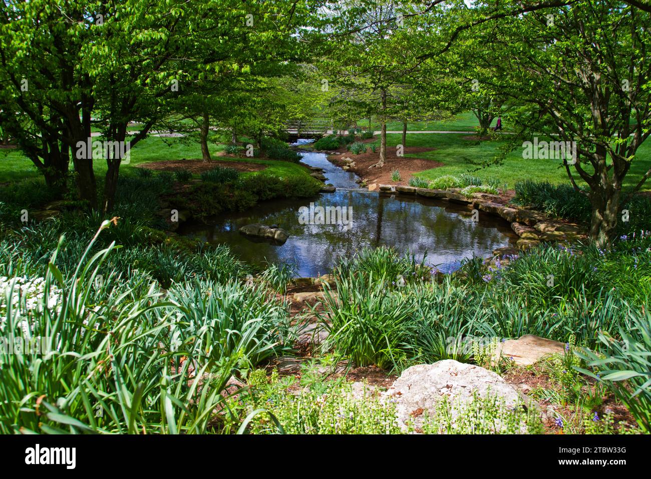 Sereno giardino estivo con ruscello fluente e Rustic Bridge a Bloomington, Stati Uniti Foto Stock