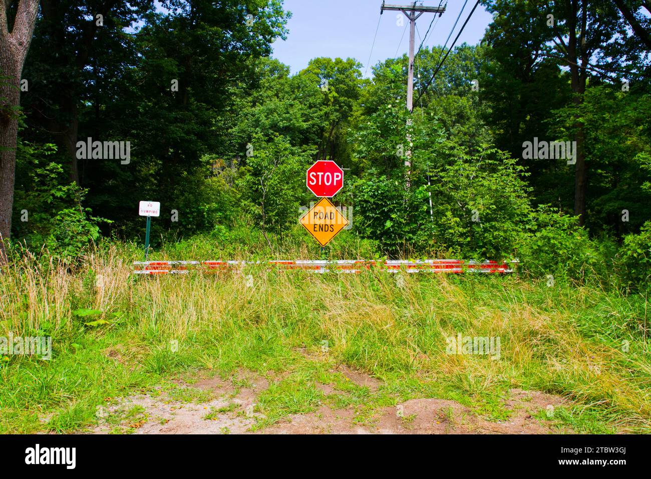 Segnale di stop e Road Ends Warning nell'appartato Michigan Woodland Foto Stock