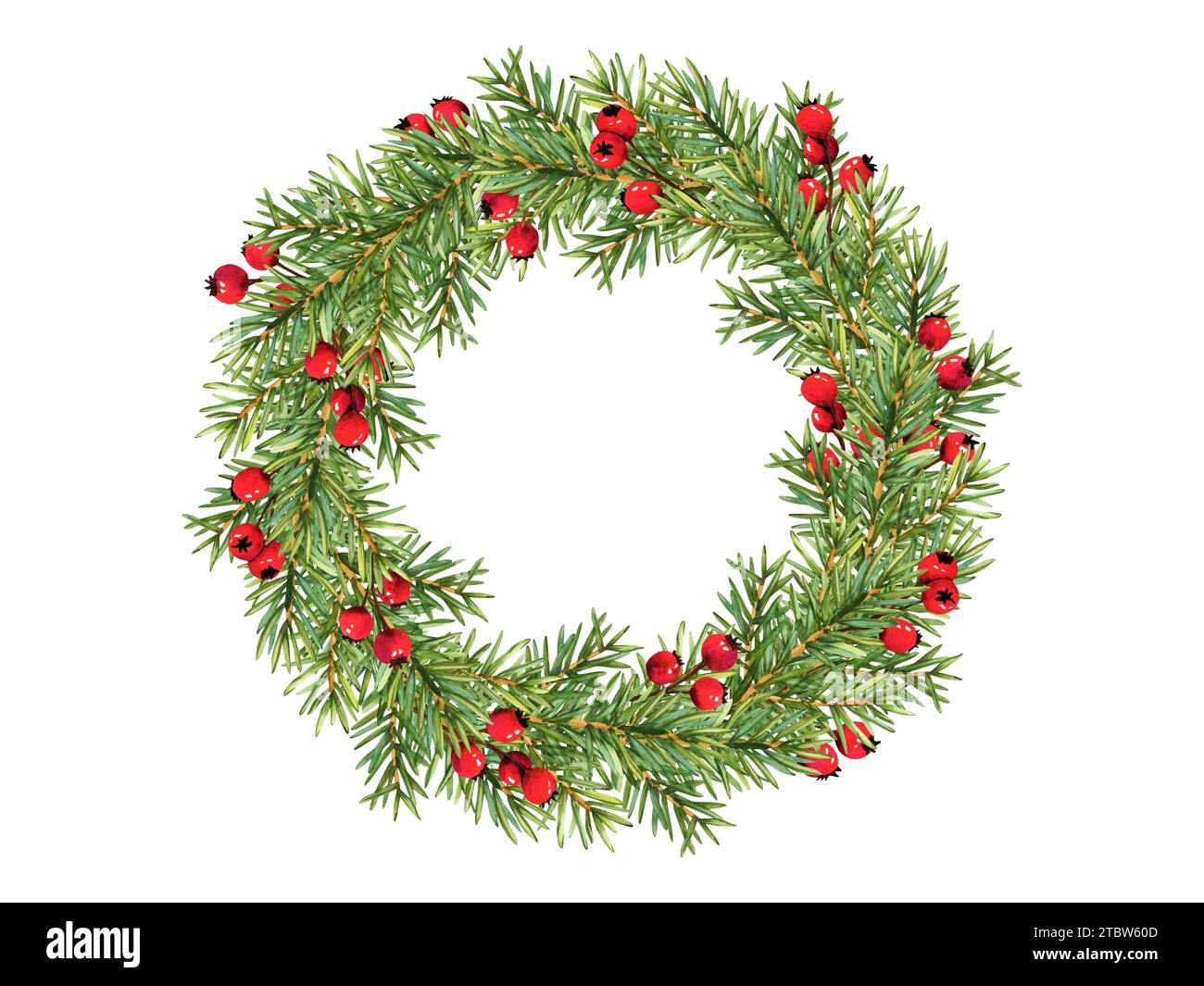 Corona natalizia di rami di abete verde e bacche rosse. Elemento decorativo per il nuovo anno in abete rosso. Illustrazione natalizia ad acquerello per decorazione. Design naturale Foto Stock
