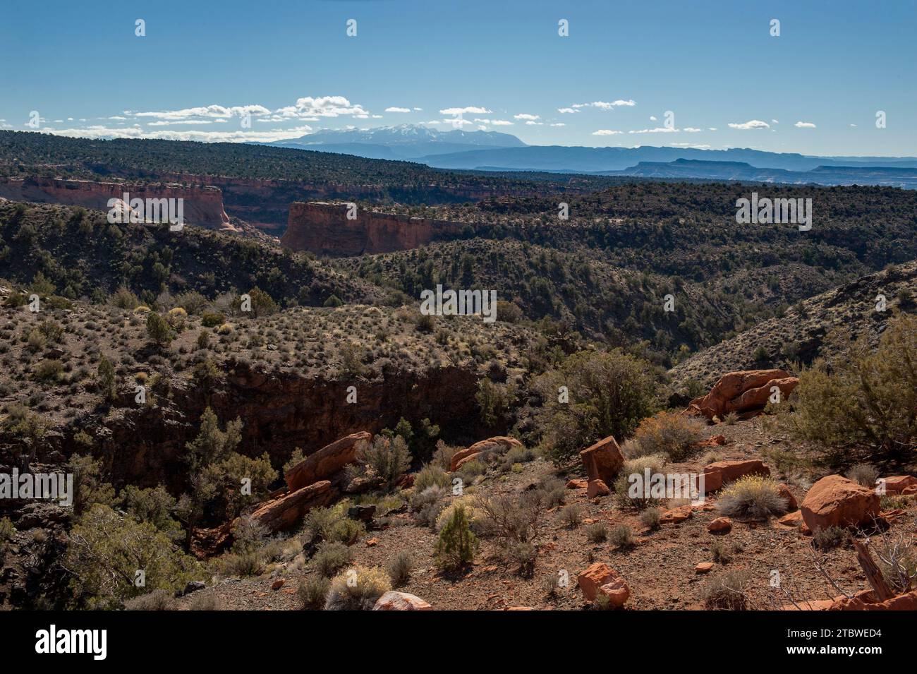 Terra di nessuno al confine tra Utah e Colorado, a sud del fiume Colorado. Le montagne di la Sal sono lontane. Foto Stock