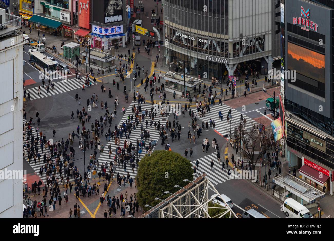 Una foto del passaggio di Shibuya, visto dall'alto, a Tokyo Foto Stock