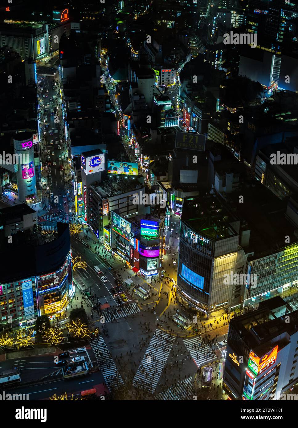 Una foto panoramica dello Shibuya Crossing, vista dall'alto, di notte Foto Stock
